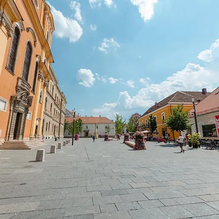 Apartment Old Town Square Cluj-Napoca