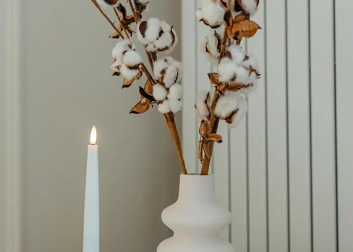 Old Town Square Apartamento Cluj-Napoca